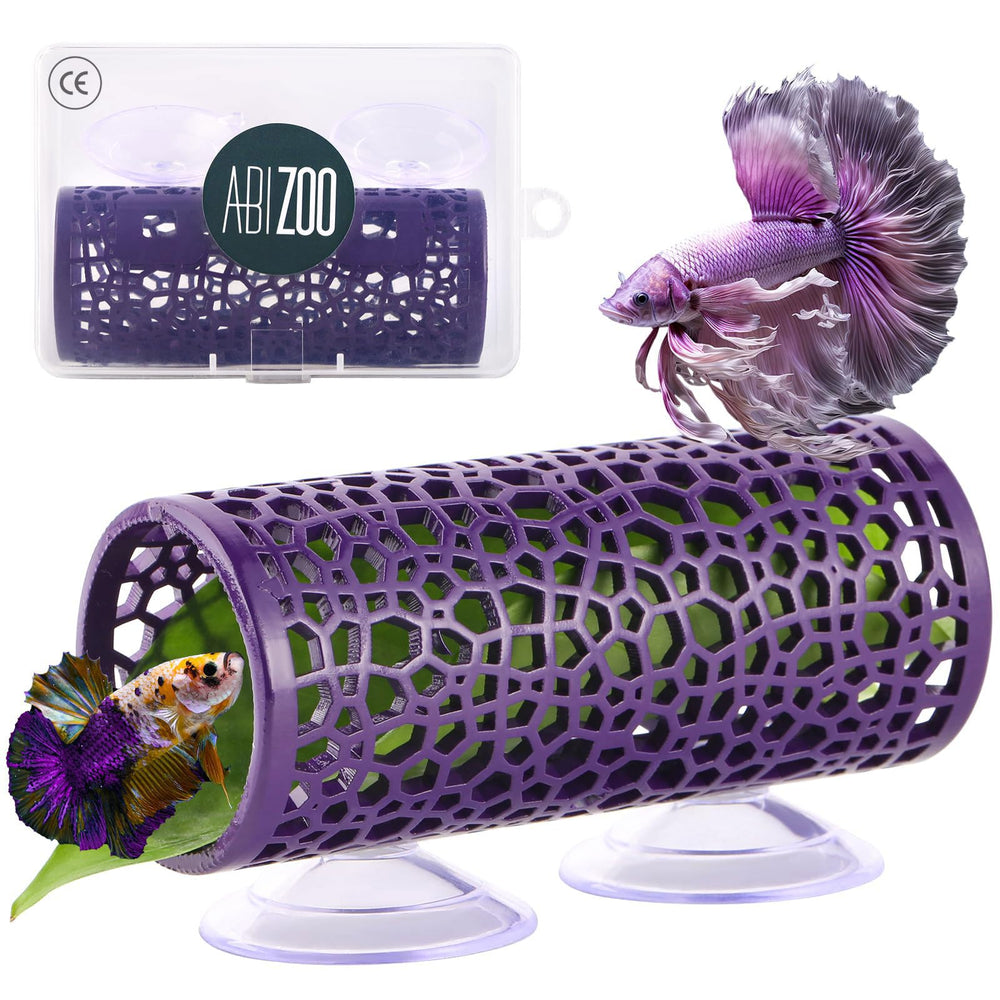 Abizoo cave-betta-tunnel-violet offre refuge visible pour observer le betta.