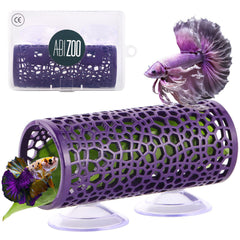 Abizoo cave-betta-tunnel-violet offre refuge visible pour observer le betta.