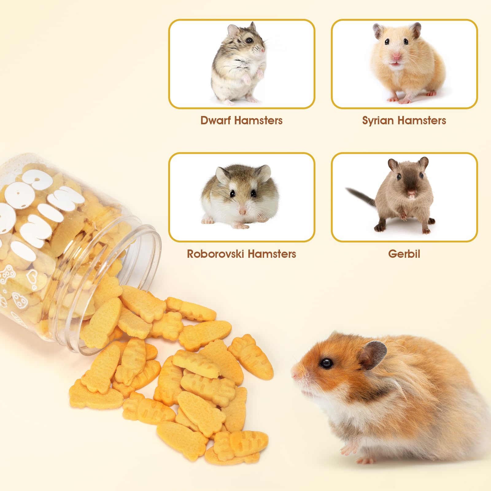 Abizoo emballage pratique—source pratique de friandises quotidiennes.