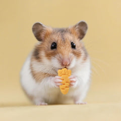 Abizoo snack faible en sucre—idéal pour petits animaux lors de séances d'entraînement.