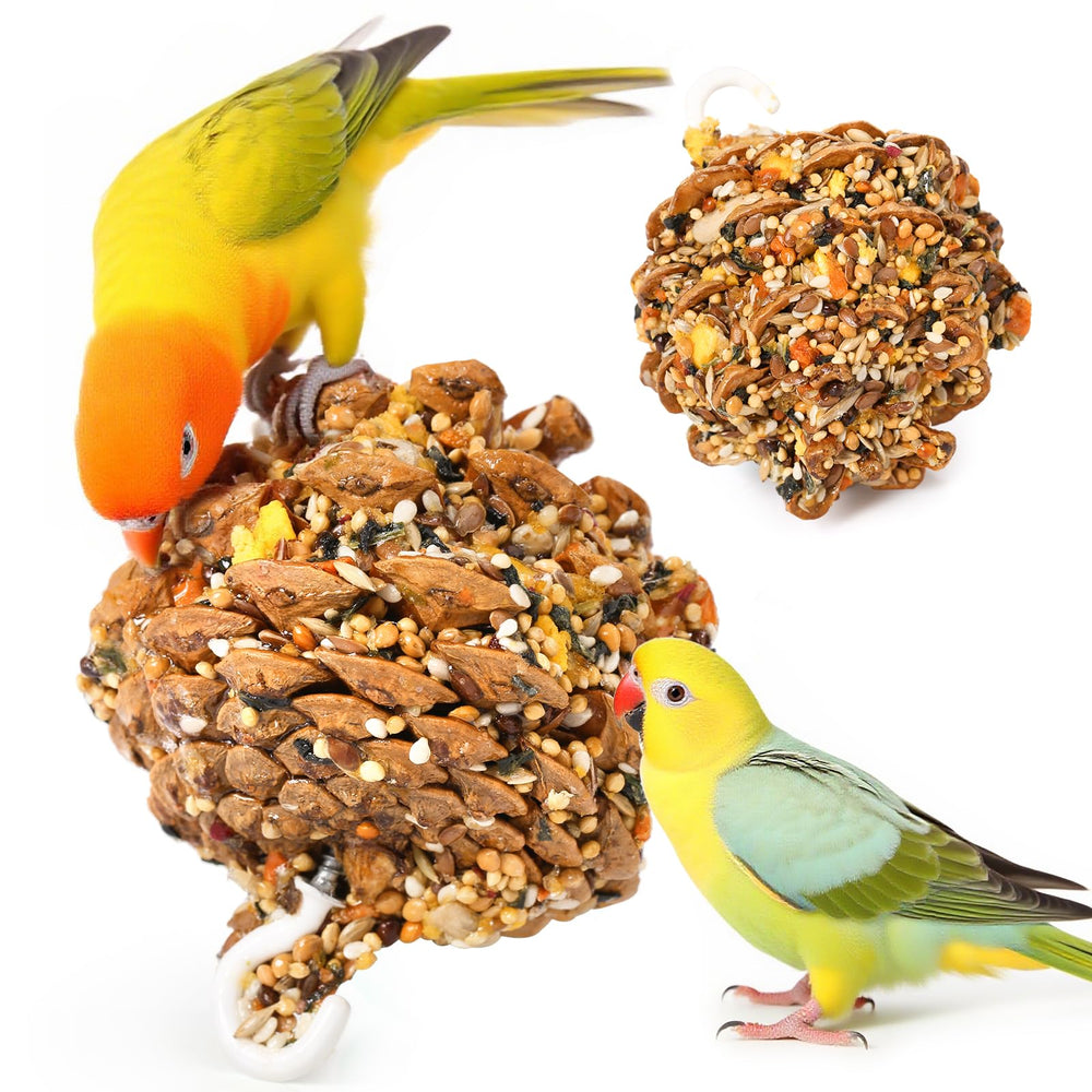 Abizoo Pomme de pin comestible avec soleil et légumes, stimulant l’enrichissement.