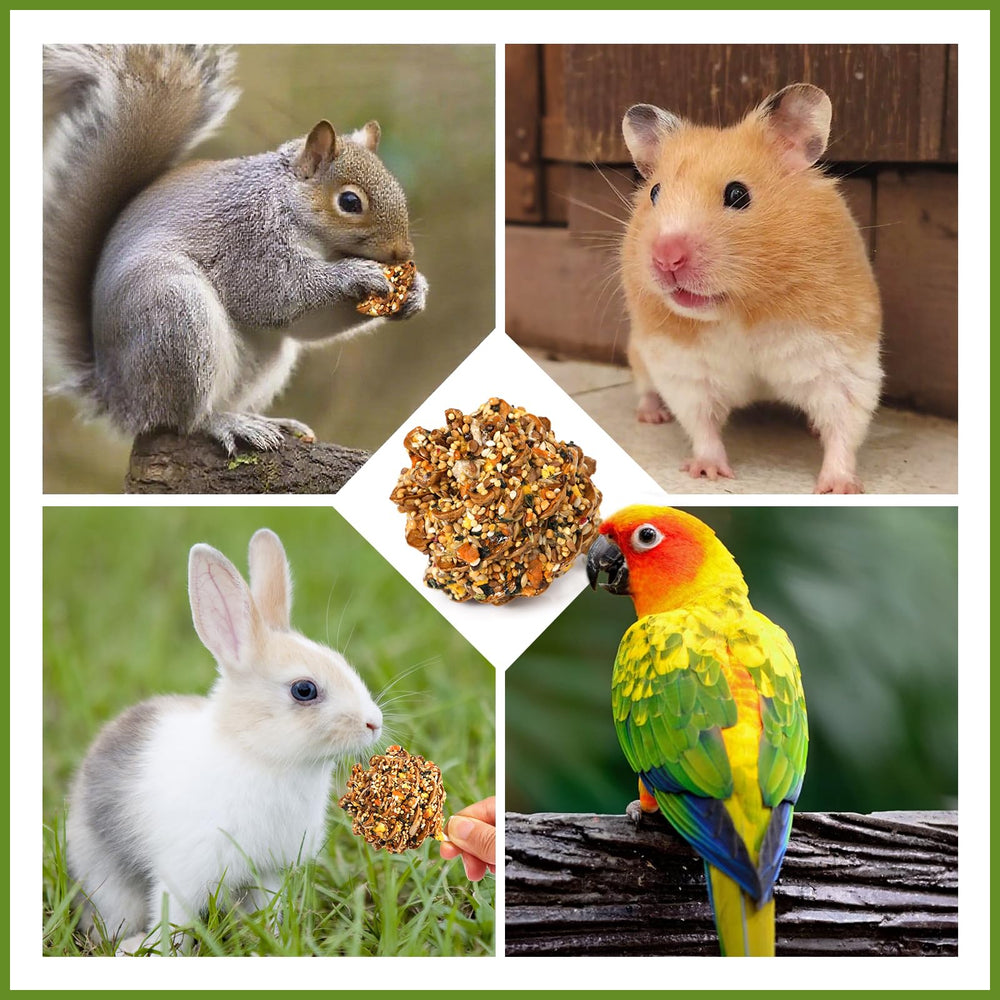 Abizoo Pomme de pin convient aux petits animaux et petits oiseaux.