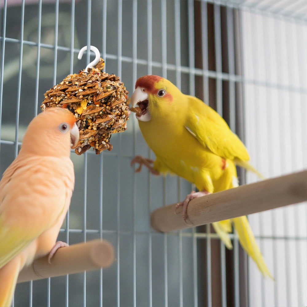 Abizoo Pomme de pin stimule mentalement, outil de renforcement positif.
