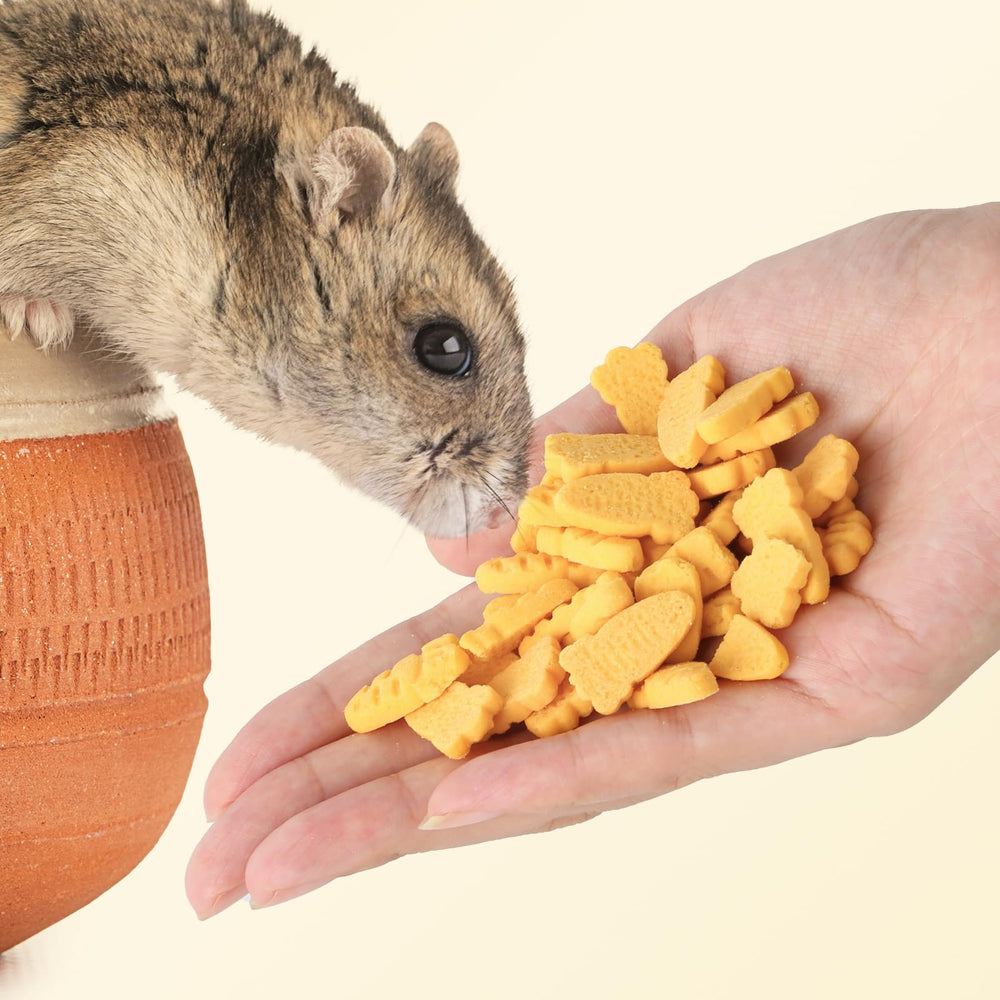 Abizoo récompense naturelle—encourage le rongement pour le confort digestif.