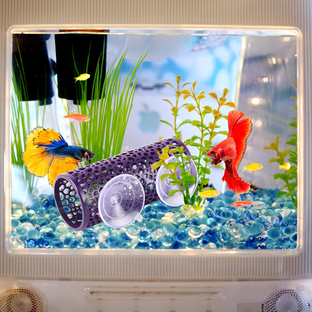 Abizoo tunnel-betta-accessoire-aquarium fixation facile et repositionnement rapide.