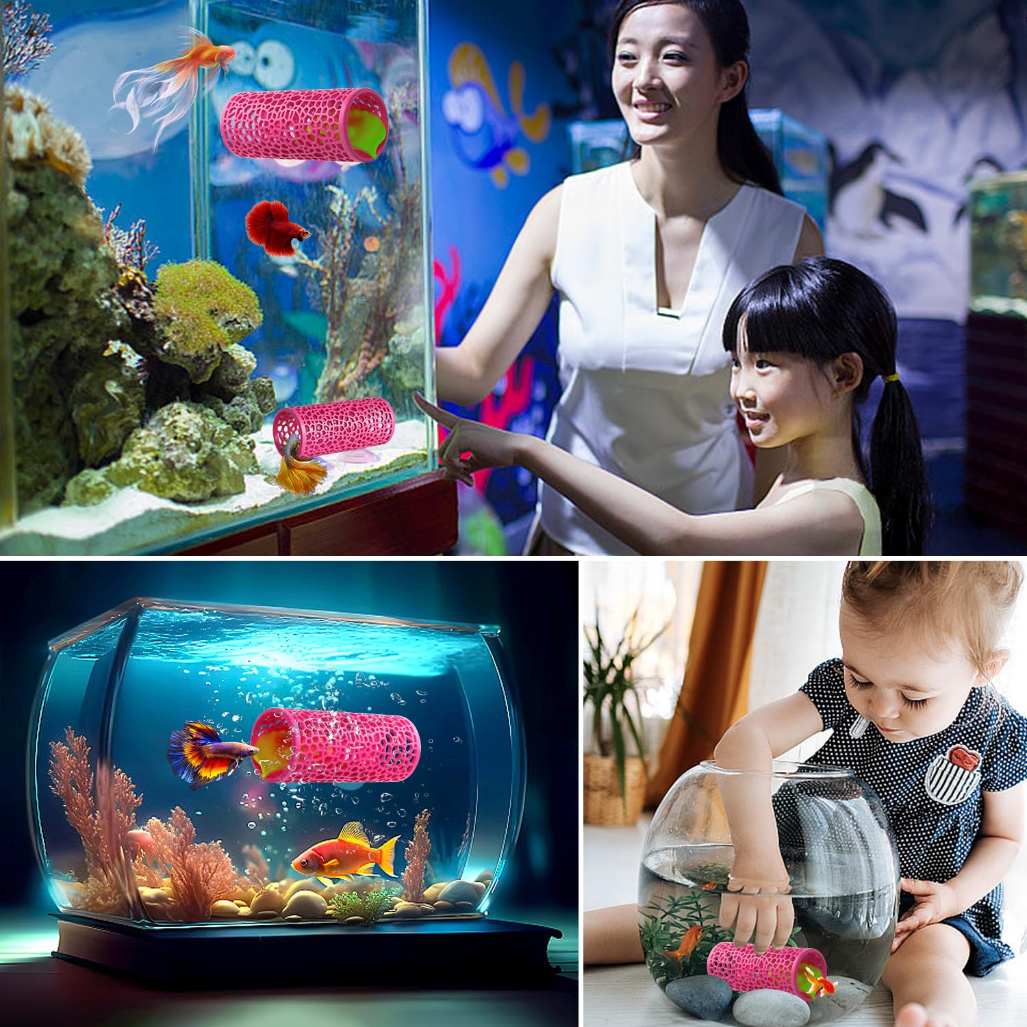Abizoo Tunnel Rose poisson utilisant la cachette pour se cacher