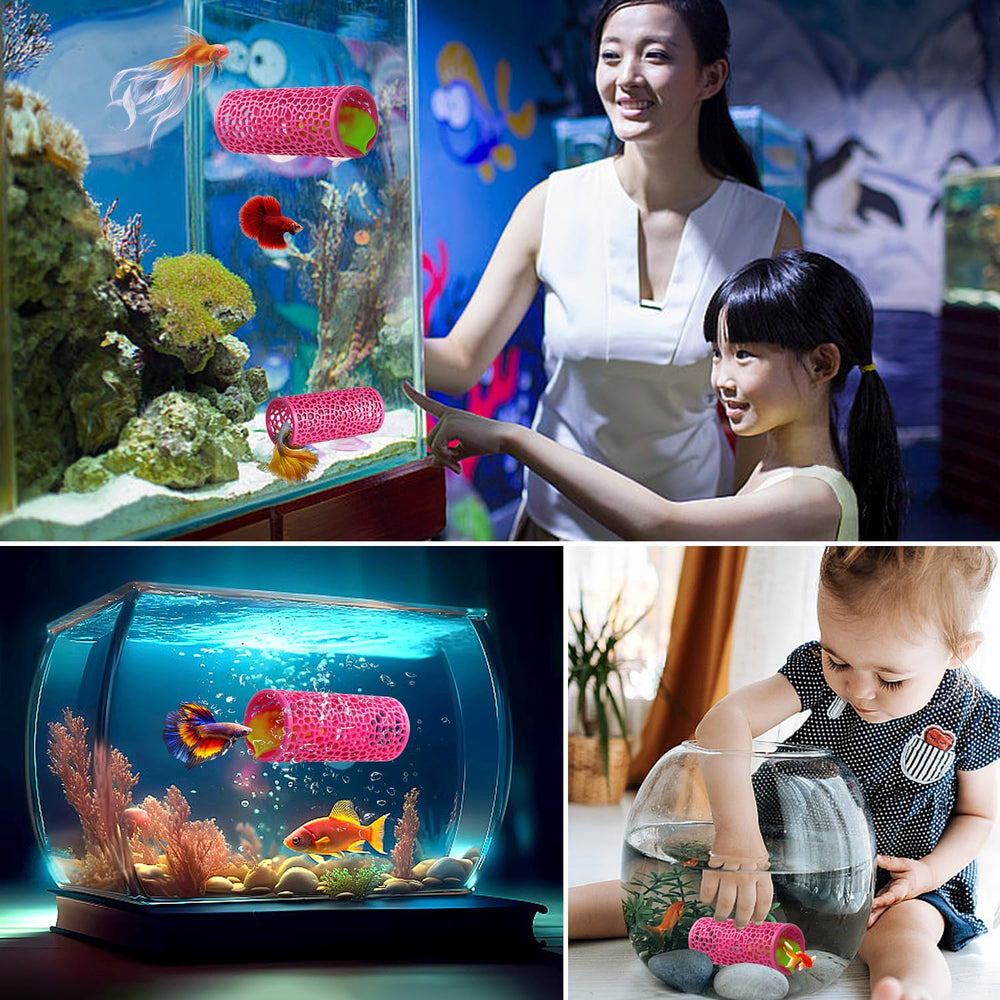 Abizoo Tunnel Rose poisson utilisant la cachette pour se cacher