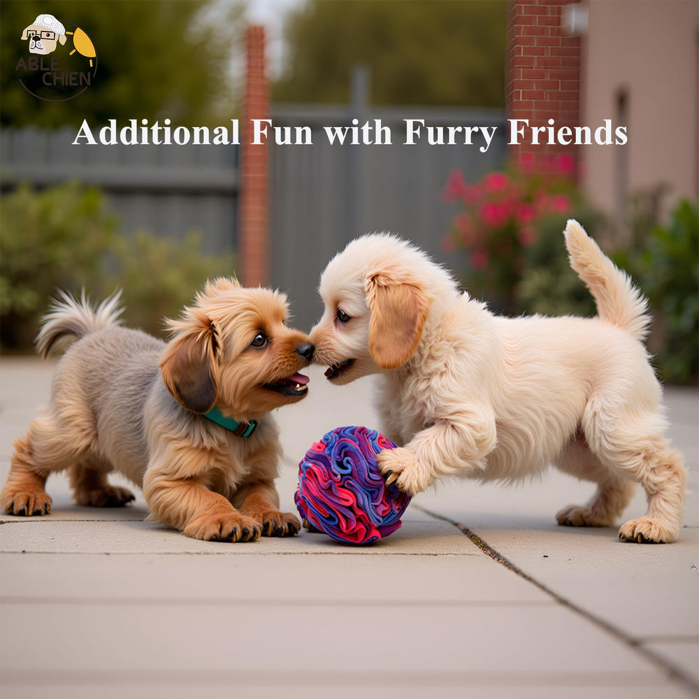 Ablechien Jeu-interactif-pour-chien: interaction et amusement garantis