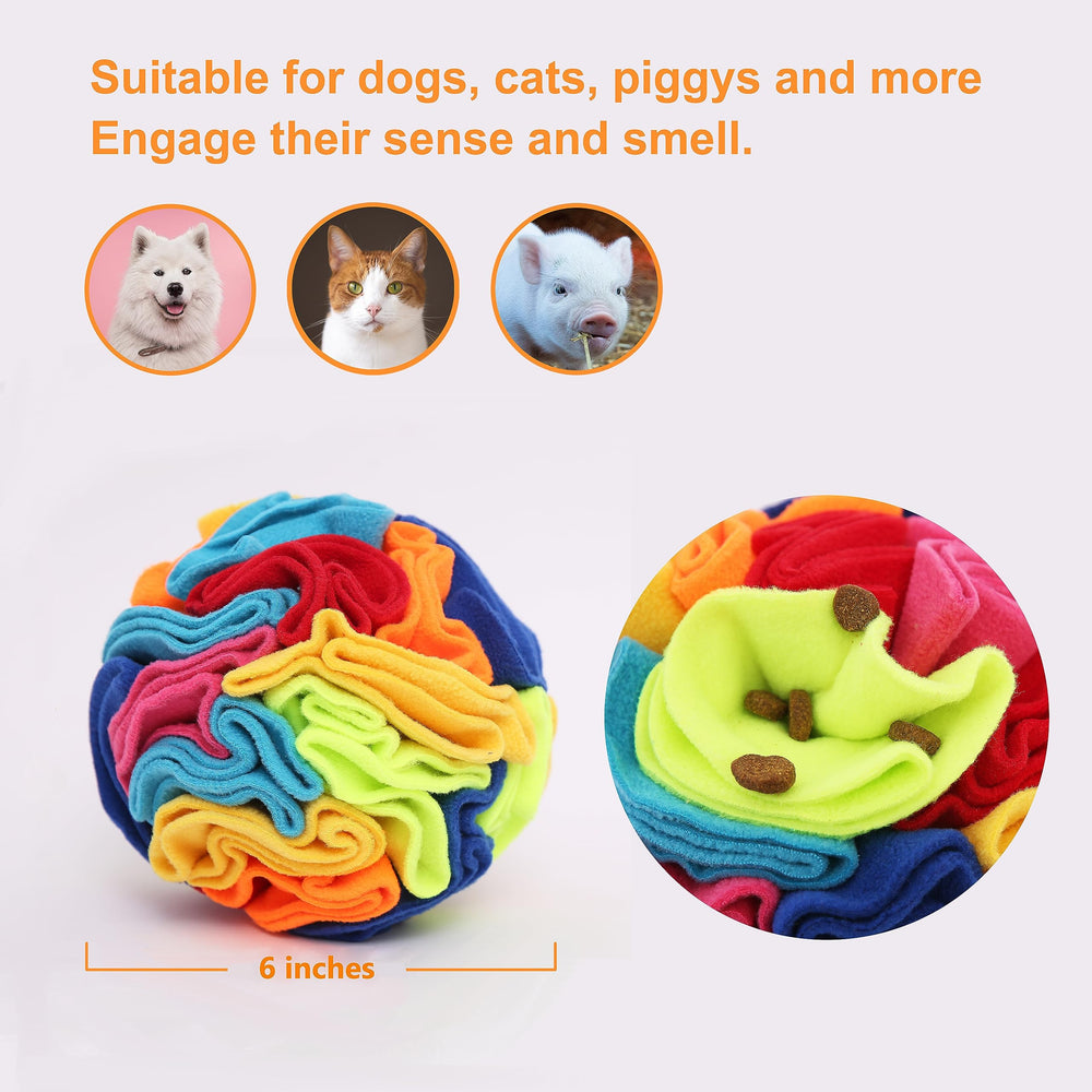 Ablechien Snuffle Ball : chien en train de renifler pour stimuler l’odorat.