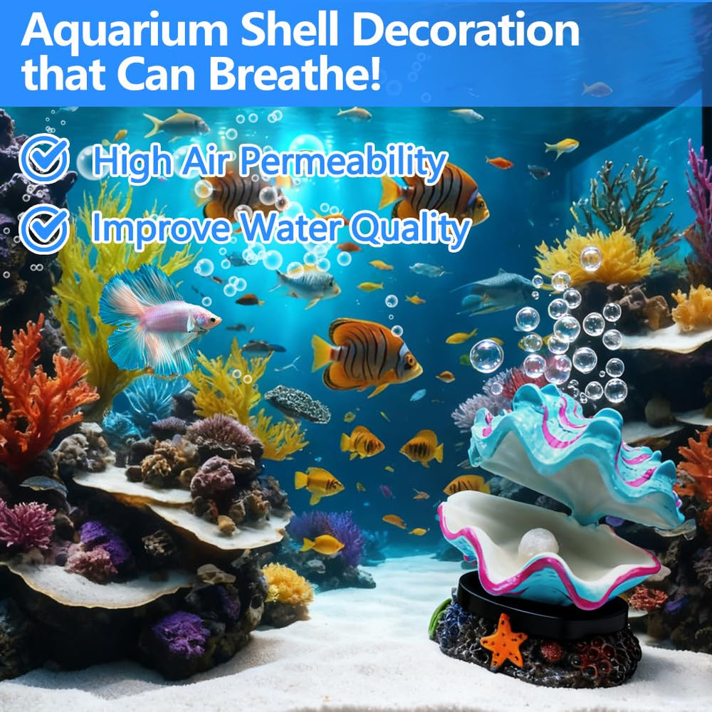 Abnaok Coquille Aquarium Ouverture Fermeture: coquille qui s’ouvre et se referme