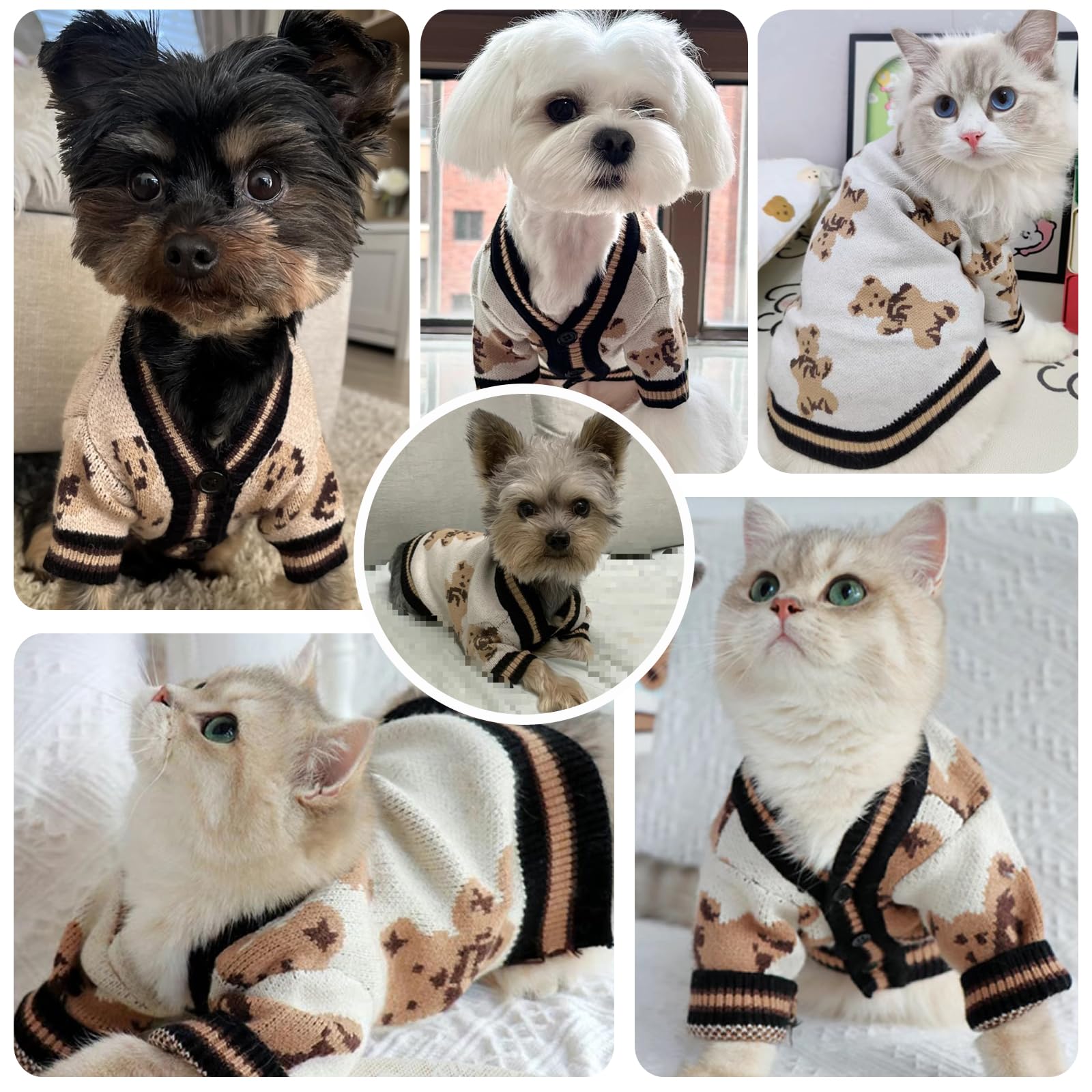 ABRRLO pull tricot ours petit-chien, liberté de mouvement.