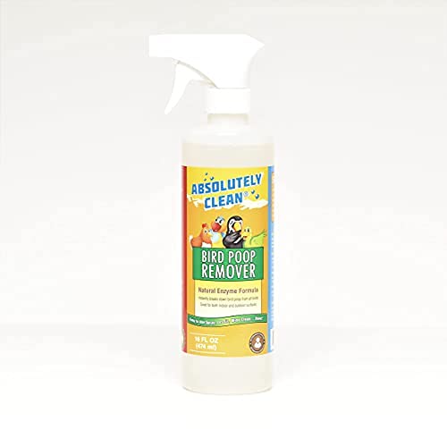 Absolutely Clean – nettoyant crottes d'oiseaux bouteille, action rapide sans résidu gras