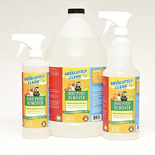 Absolutely Clean – usage intérieur et extérieur sans odeur forte