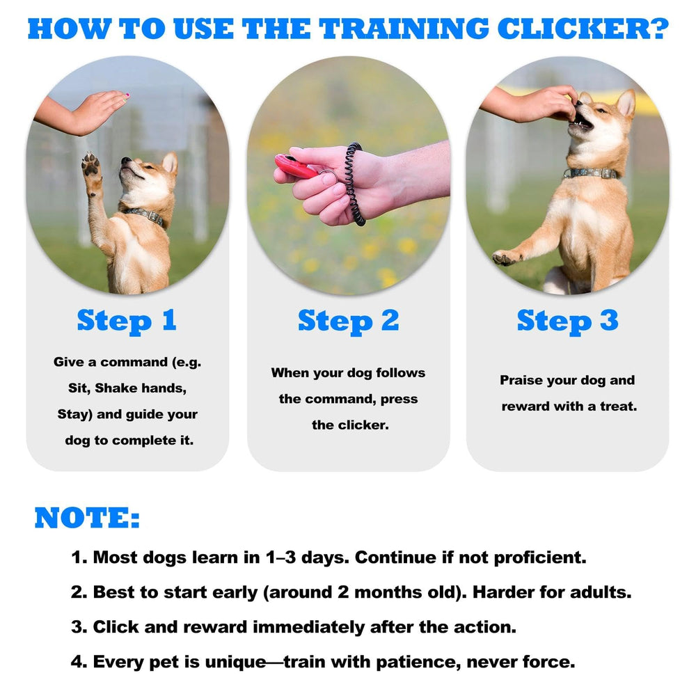 ABSONE clic-marqueur chiot-dressage, aide pratique pour propreté.