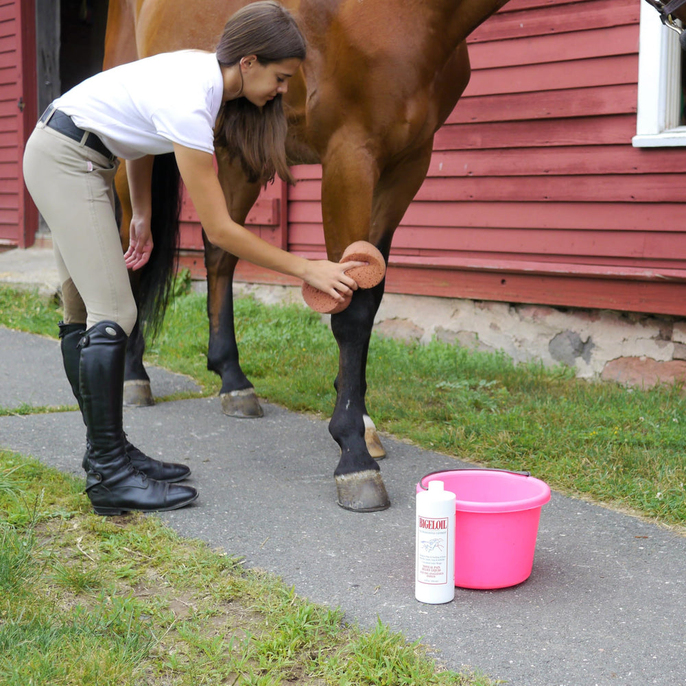 Absorbine Bigeloil Liniment pour chevaux, effet rafraîchissant et antiseptique.