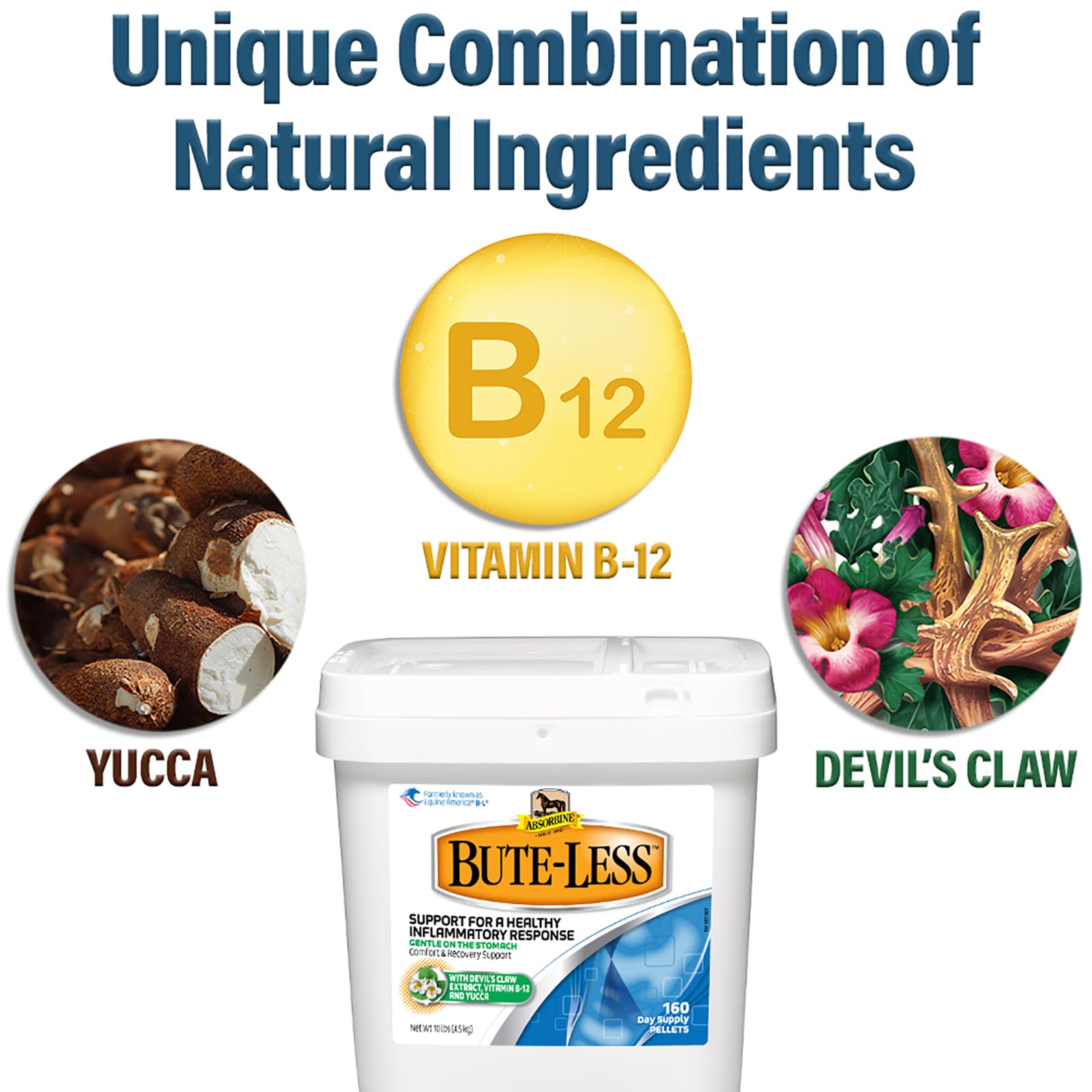 Absorbine Bute-Less, vitamine B12: apport nutritionnel pour le soutien général.