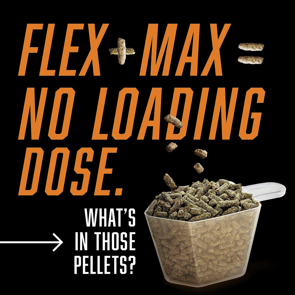 Absorbine Flex+Max composition glucosamine MSM chondroïtine: formulation complète pour les articulations.