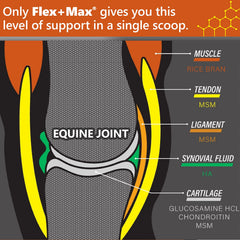 Absorbine Flex+Max emballage 10 lb: solution pratique pour les soins quotidiens.