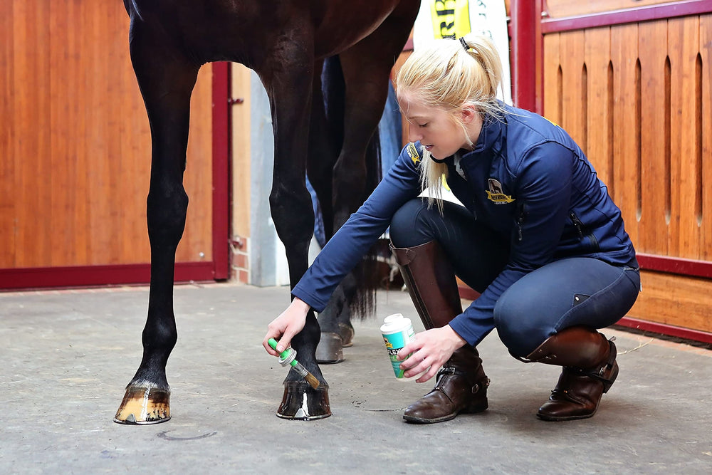 Absorbine Hooflex finition sans résidu gras pour sabots.