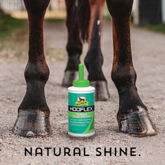 Absorbine Hooflex sabot nourri et hydraté, aspect naturel.