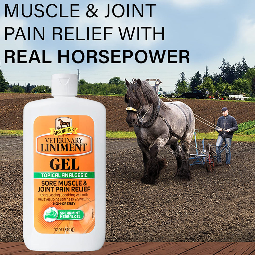 Absorbine liniment topique analgesique massage: usage pour détendre les zones tendues.