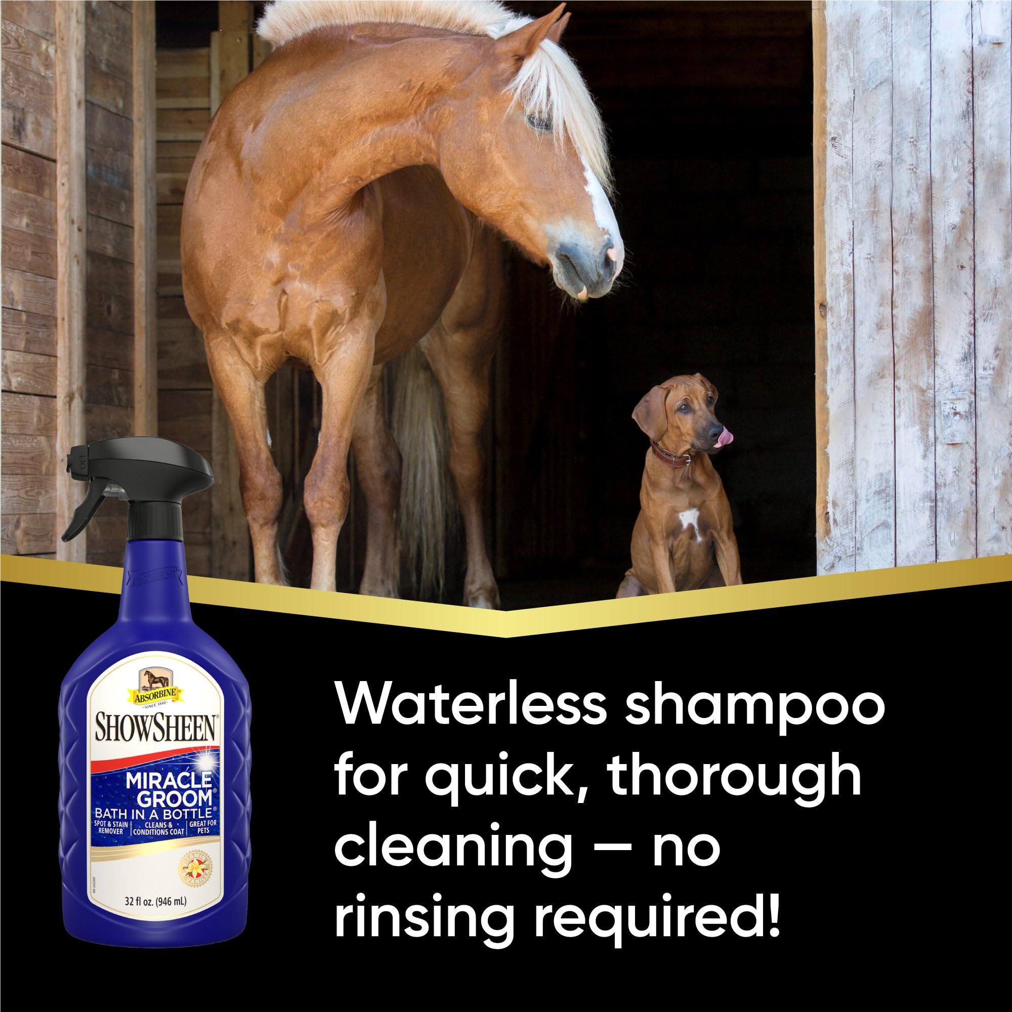 Absorbine ShowSheen Miracle Groom apporte démêlage facile et brillance sur les poils longs.