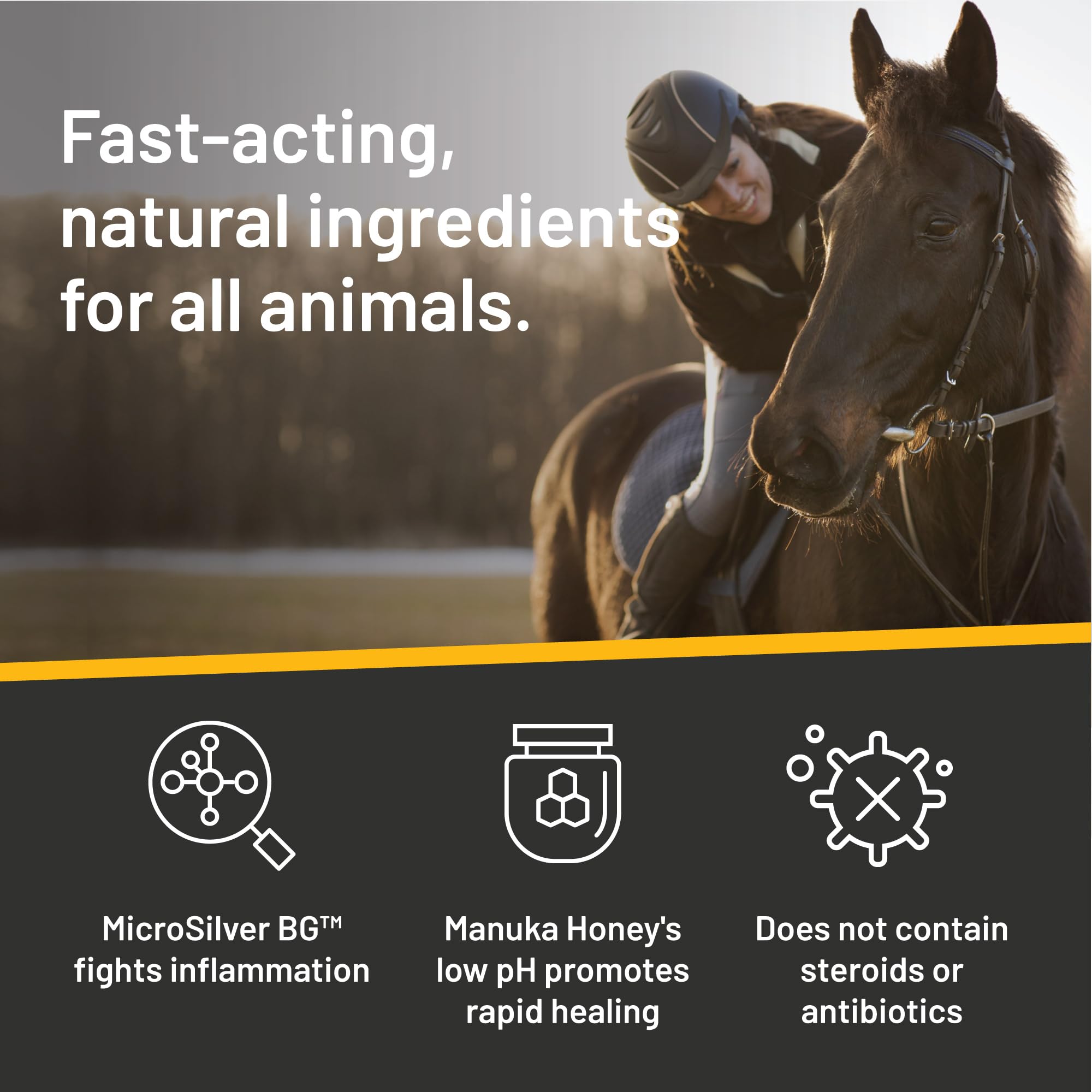 Application mains libres avec Absorbine Silver Honey, pratique sur zones grandes.