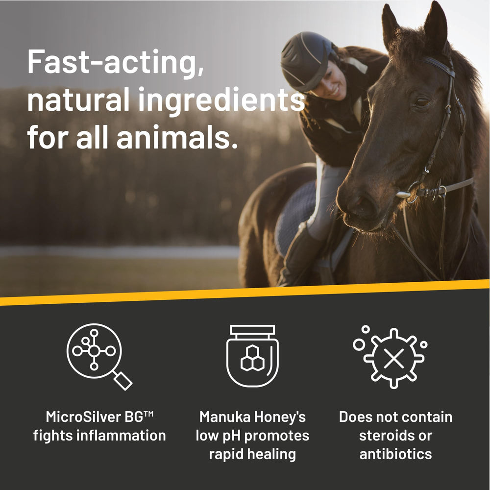 Application mains libres avec Absorbine Silver Honey, pratique sur zones grandes.