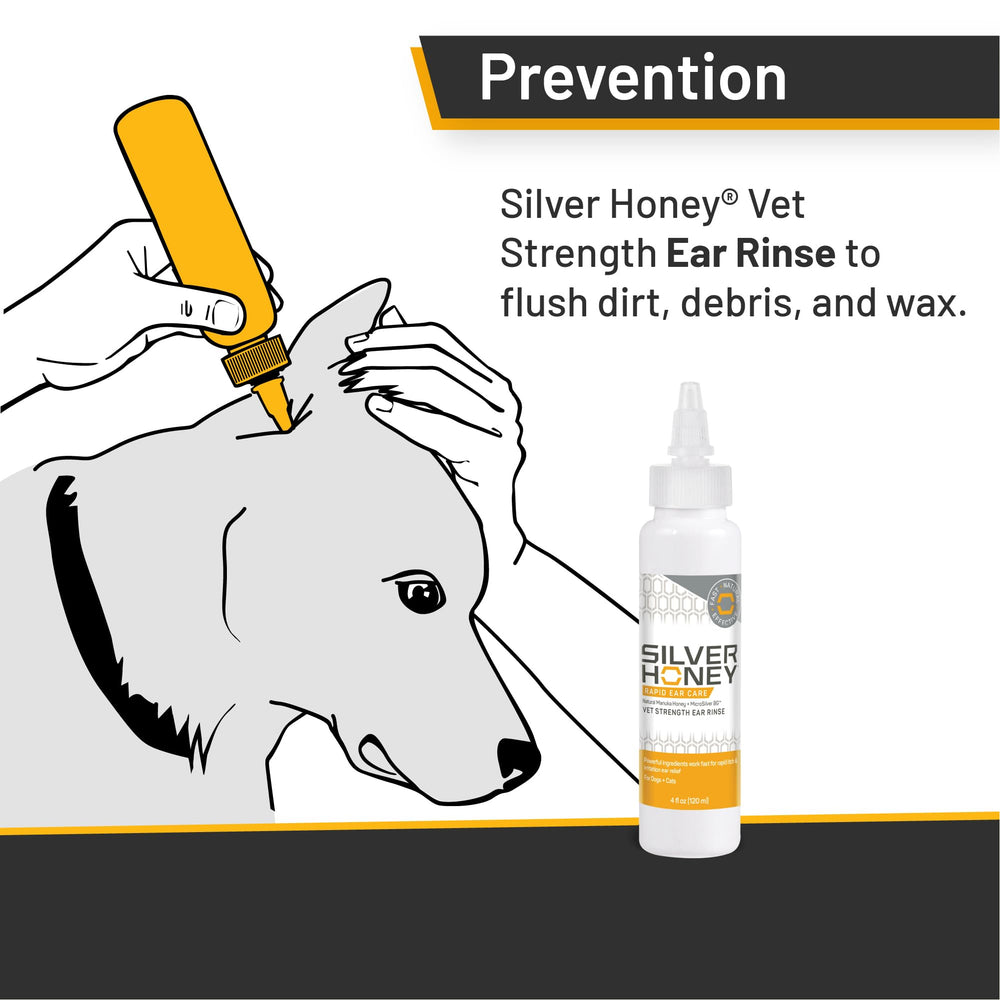 Absorbine Silver Honey application-oreilles montrant l’usage.