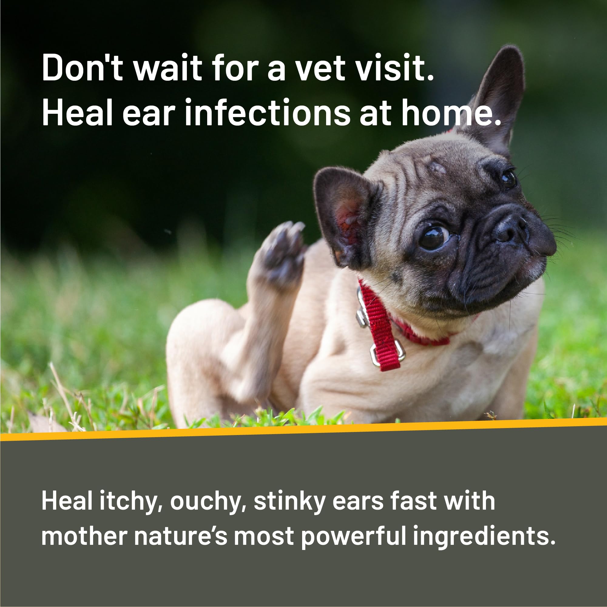 Absorbine Silver Honey – Solution adaptée chiens et chats pour les oreilles.