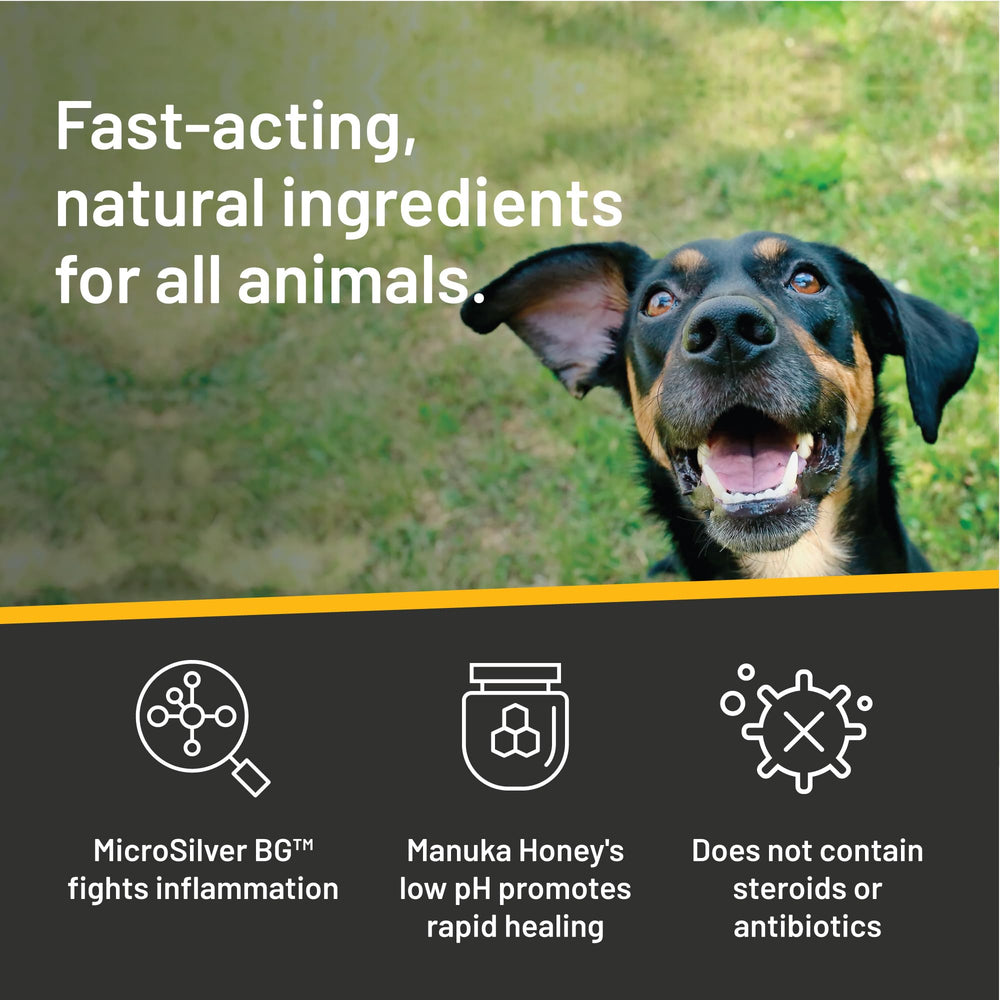 Absorbine Silver Honey hygiene-oreilles: hygiène régulière pour chiens et chats.