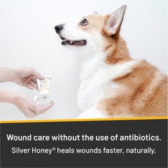 Absorbine Silver Honey, tubes doubles pour soins continus des plaies.