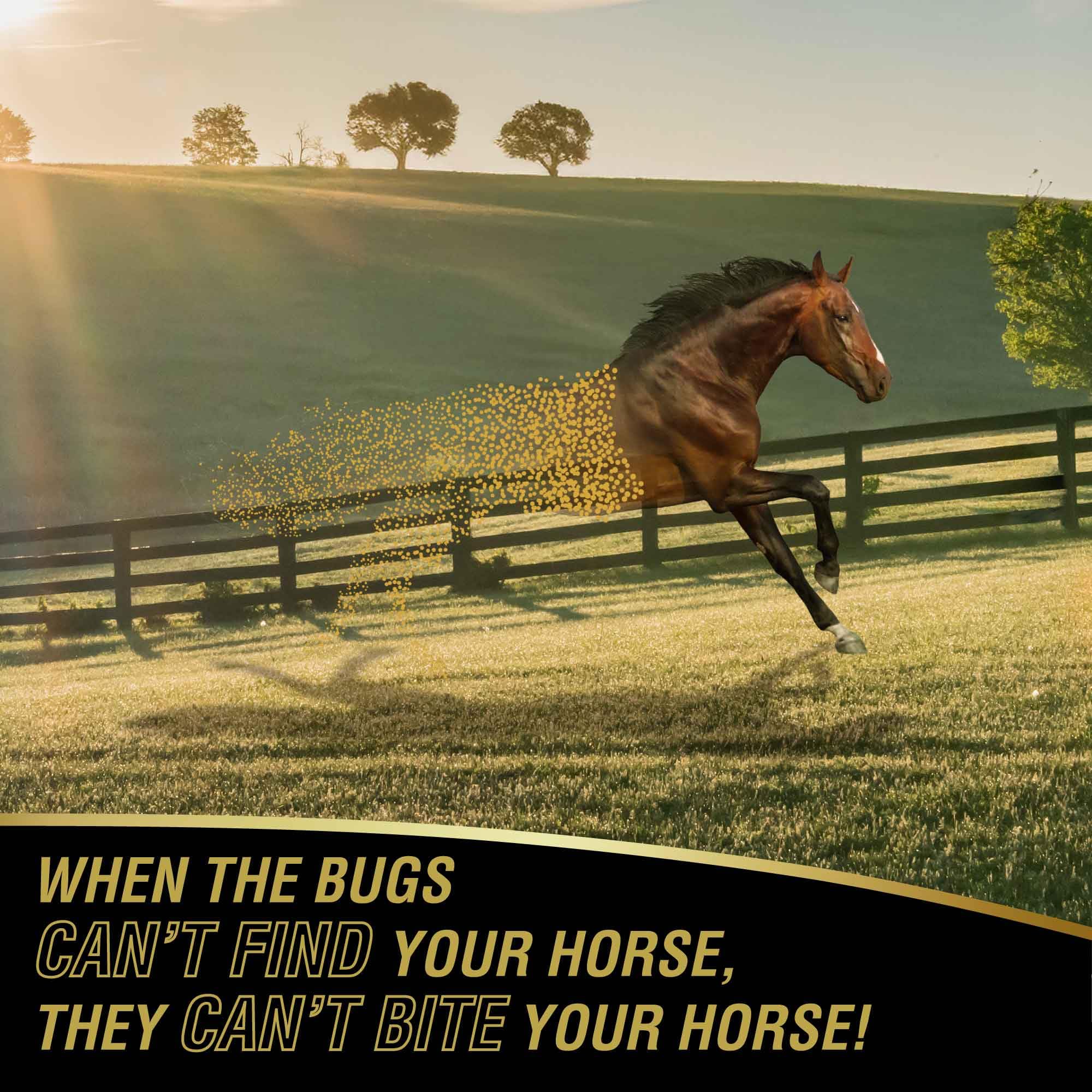 Absorbine UltraShield Gold, cheval en plein air bénéficiant d'une protection contre les insectes.