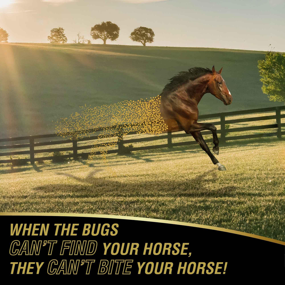 Absorbine UltraShield Gold, cheval en plein air bénéficiant d'une protection contre les insectes.