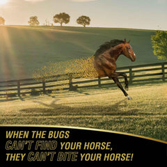 Absorbine UltraShield Gold, cheval en plein air bénéficiant d'une protection contre les insectes.