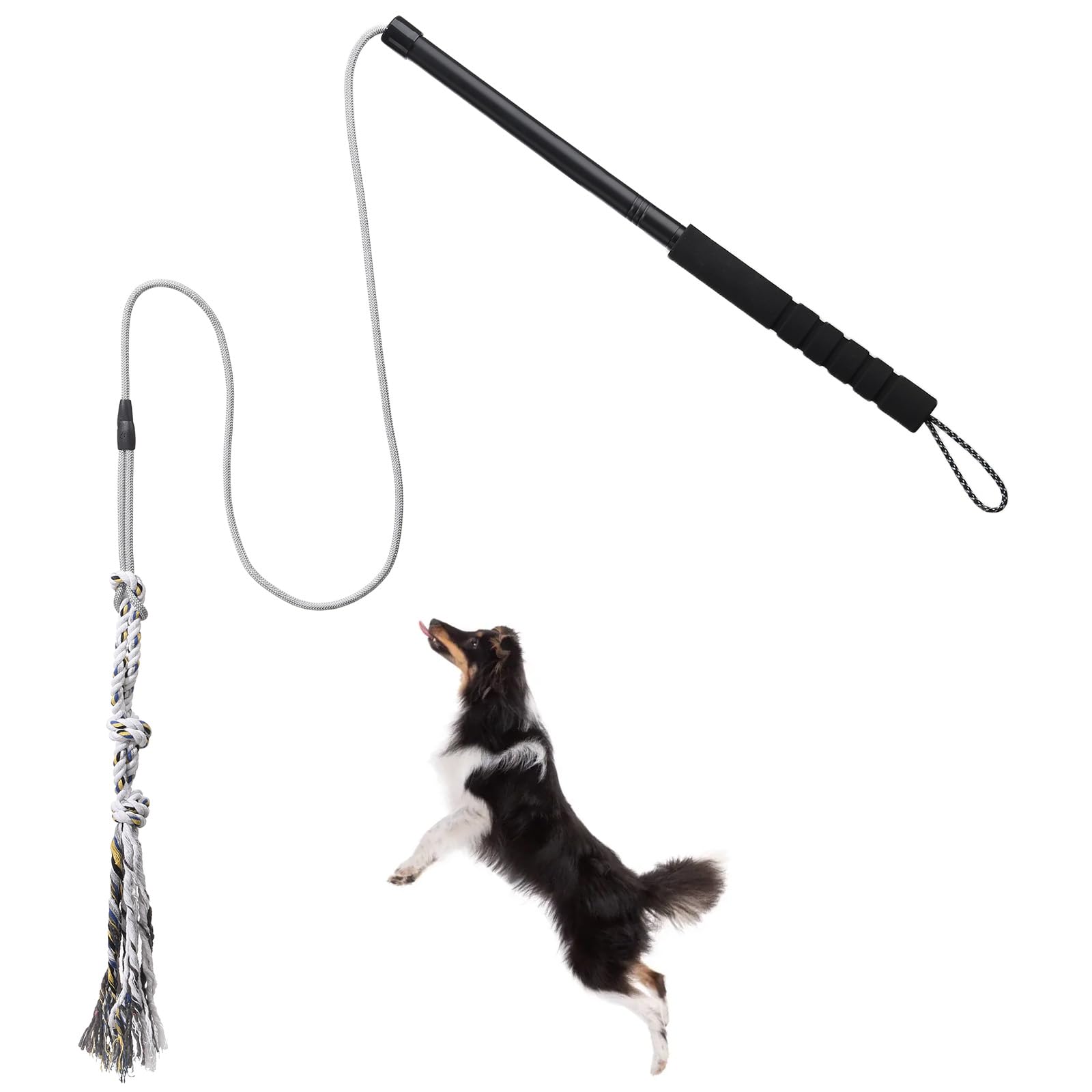 ABtool Flirt Pole chien extérieur, séance ludique en plein air pour dépenser son énergie.