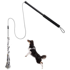 ABtool Flirt Pole chien extérieur, séance ludique en plein air pour dépenser son énergie.