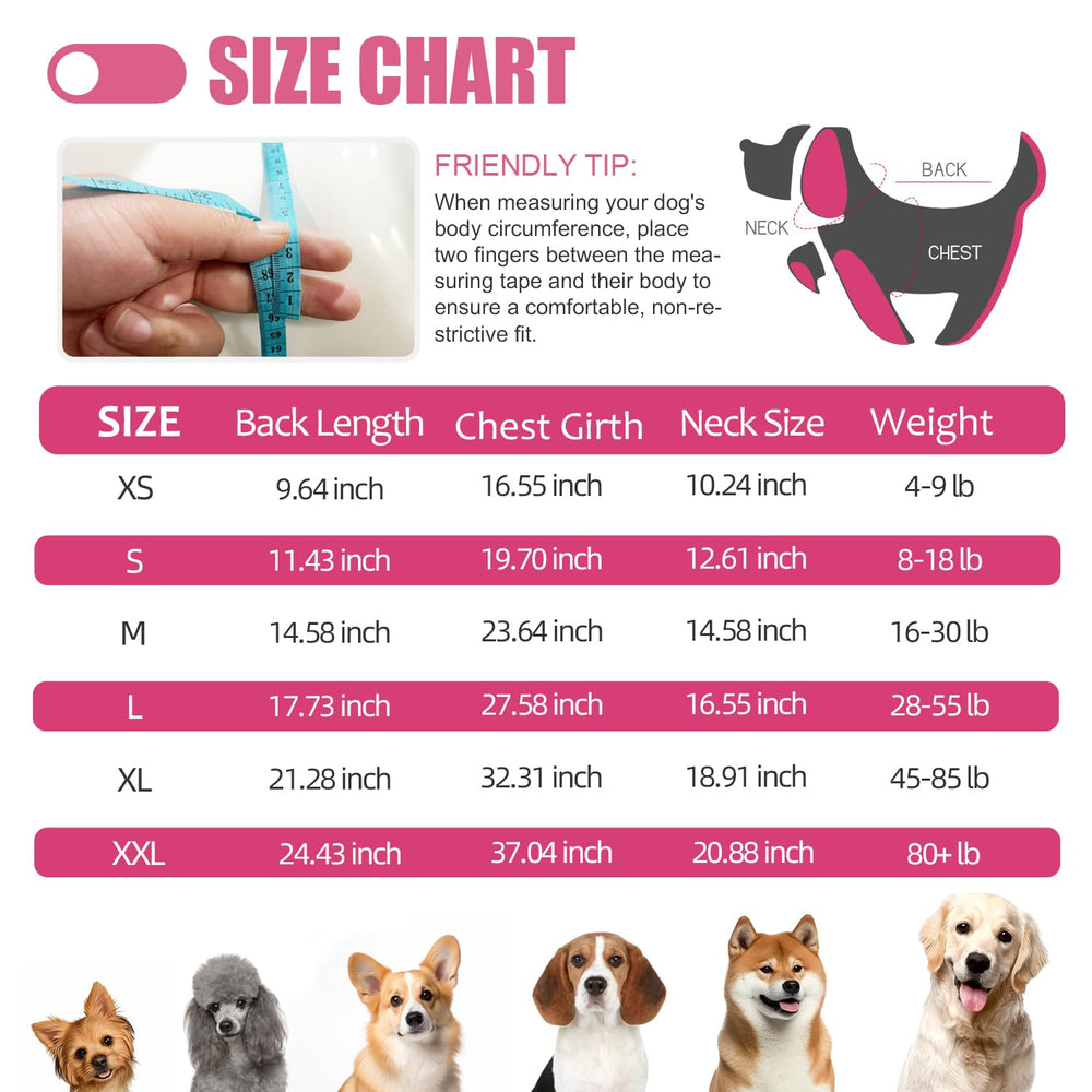 Combinaison Abuandi anti-lechage pour chien, pratique lors de la récupération.