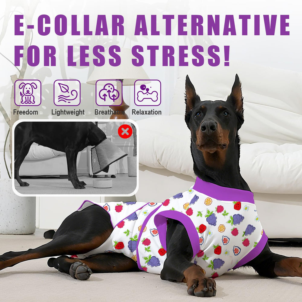 Abuandi combinaisons recuperation post chirurgie, alternative au cone pour chiens pendant convalescence.