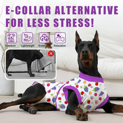 Abuandi combinaisons recuperation post chirurgie, alternative au cone pour chiens pendant convalescence.