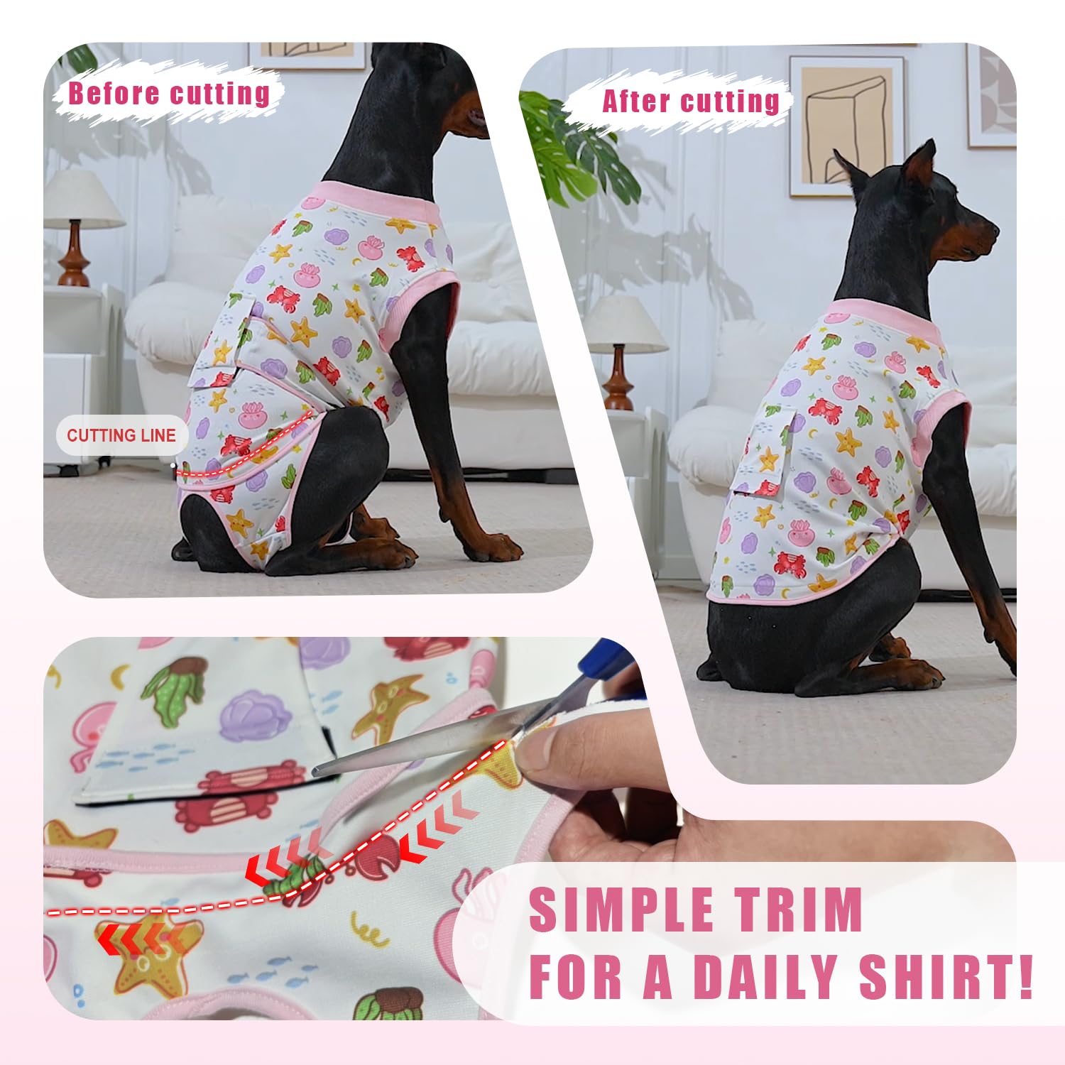 Guide des tailles Abuandi pour une adaptation parfaite sur chien.