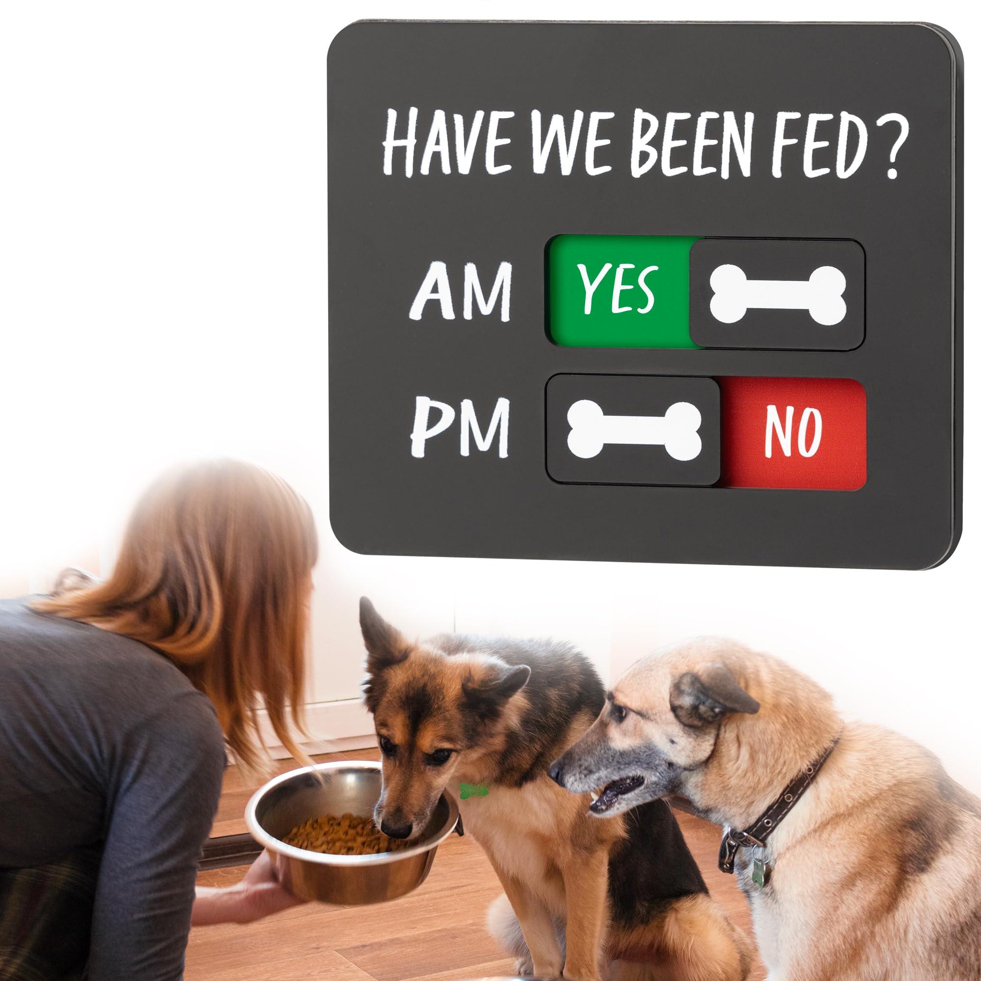 Abudada panneau aimant AM/PM pour l’alimentation du chien, contrôle rapide.