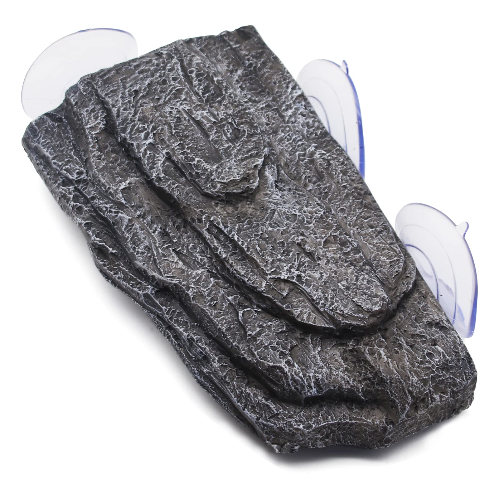 Dimensions environ 22x13x4 cm adaptées pour tortues et petits reptiles.