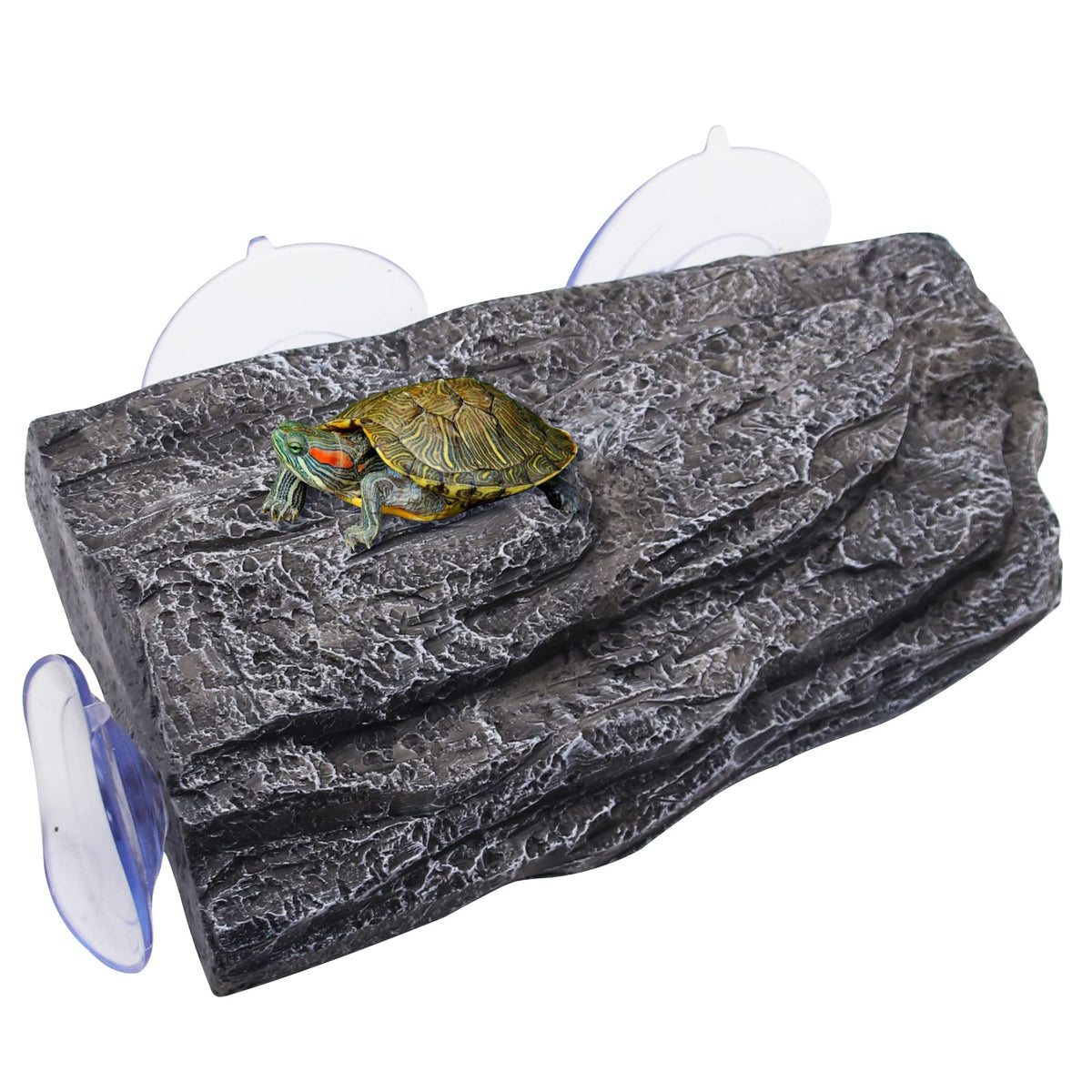 Plaque Abustle pig pour tortues basking, repos au soleil sur la plateforme.
