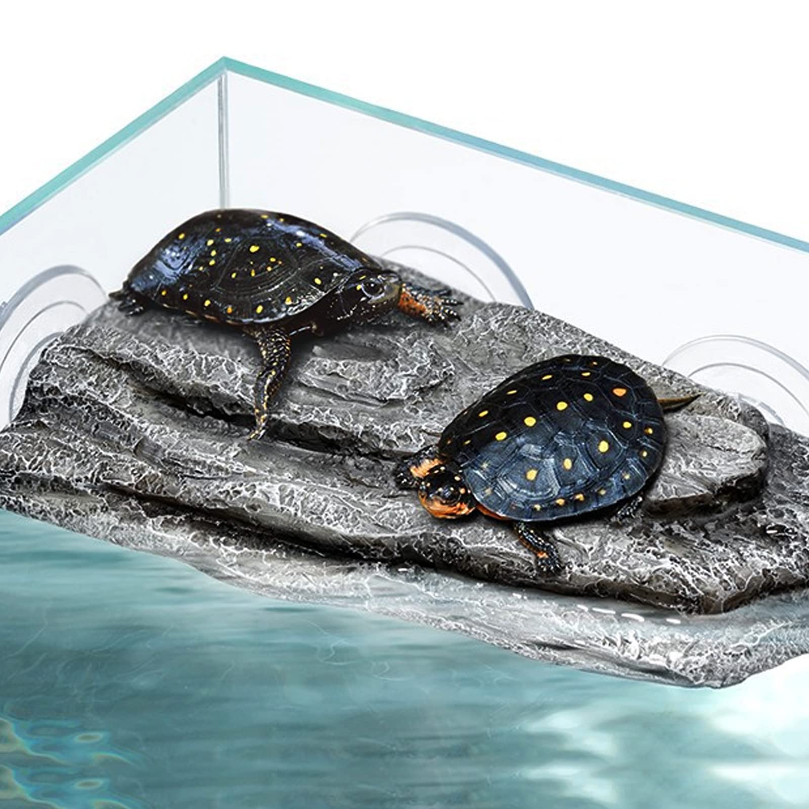 Roche artificielle texture naturelle facilitant l’escalade des reptiles.