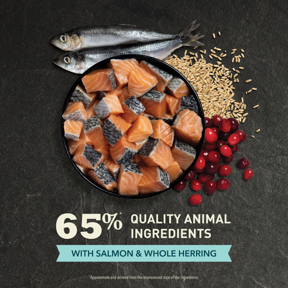 ACANA Bountiful Catch ingrédients hareng et protéines, soutien potentiel à la nutrition équilibrée.