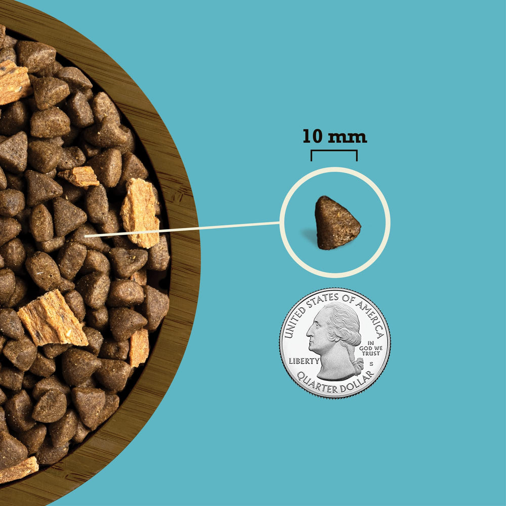 ACANA texture croquante des croquettes, appétit renforcé.