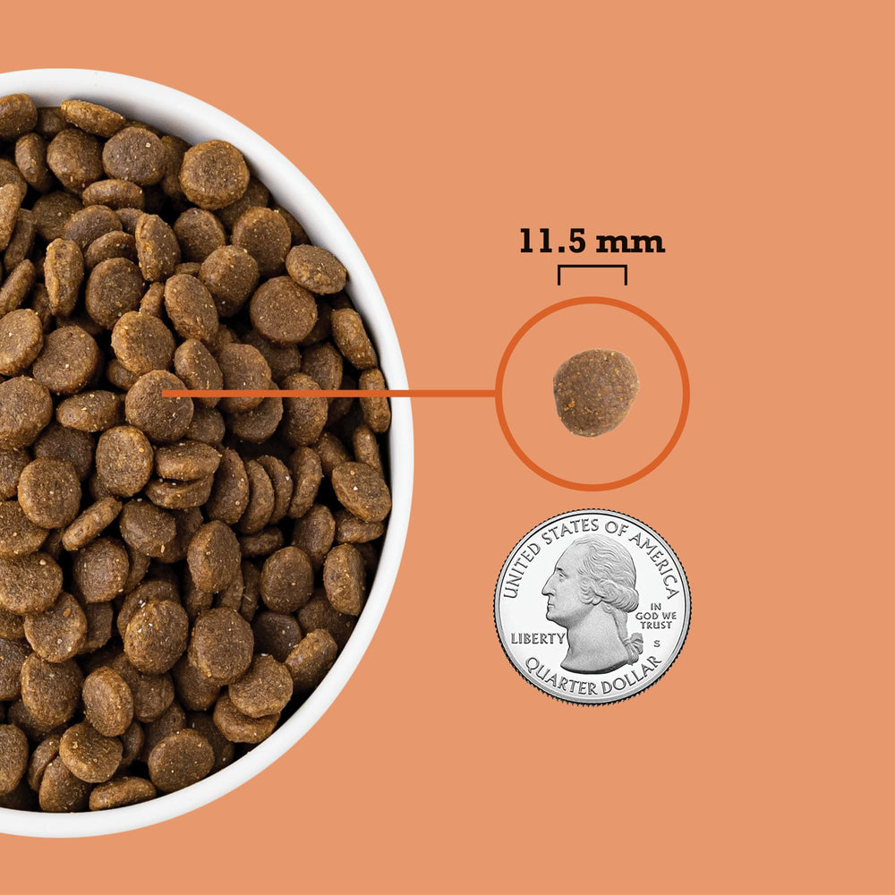 ACANA Recette Chiots Sans Céréales fruits et légumes équilibrants