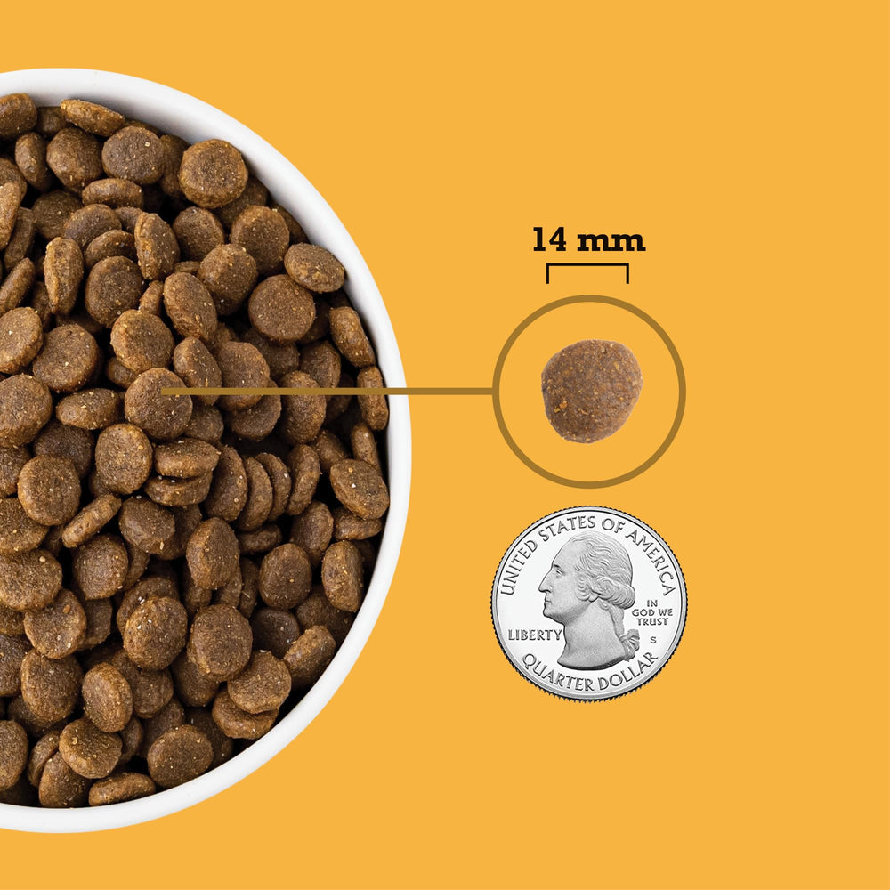 ACANA Ingrédients Poulet Dinde Oeufs – équilibre fruits et légumes pour une nutrition complète.