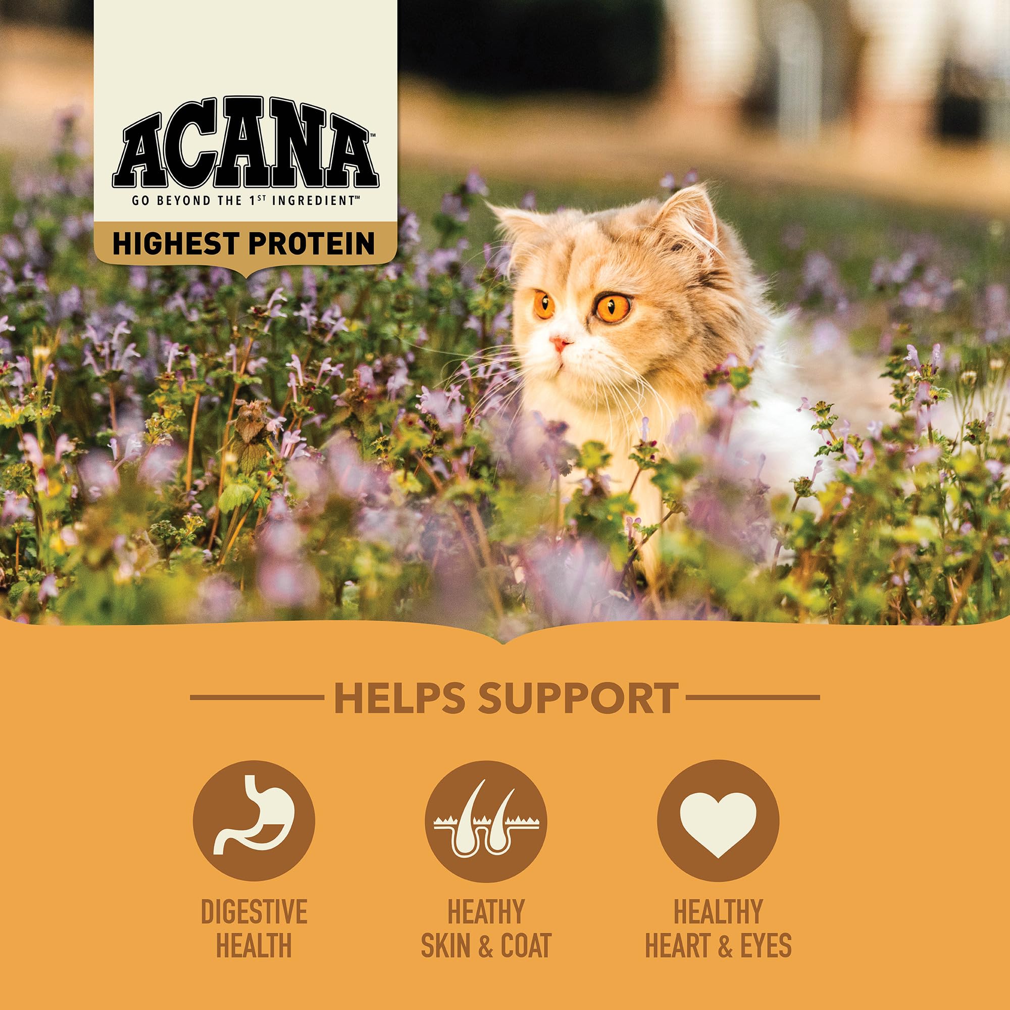ACANA Meadowlands – bol-chat poulet dinde foie poisson œufs, repas équilibré et appétissant